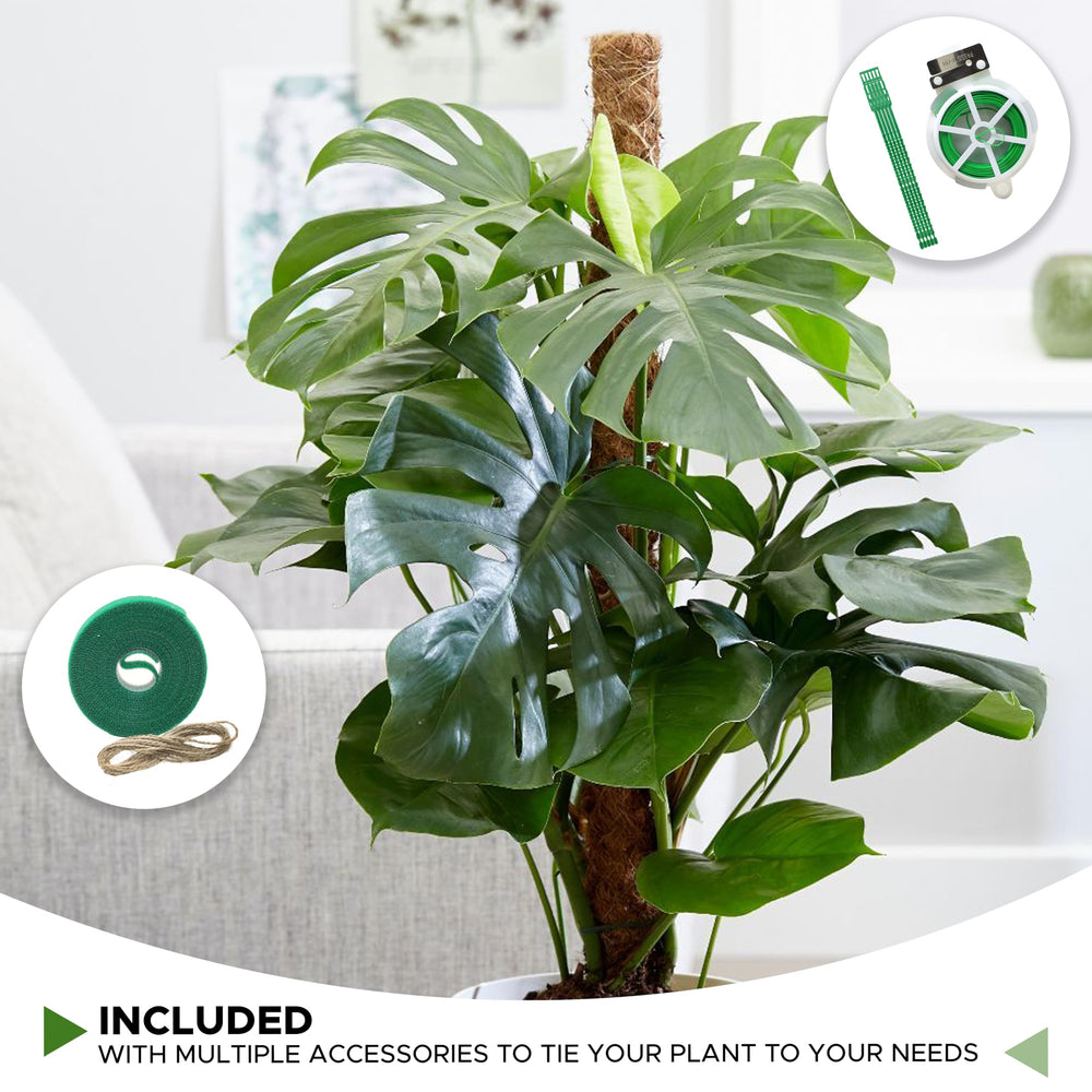 EcoNour moss pole in an indoor plant setup