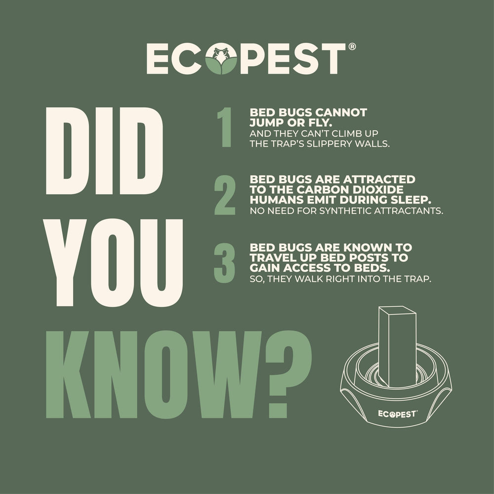 ECOPEST Bed Bug Interceptor trap collection, 4 pack