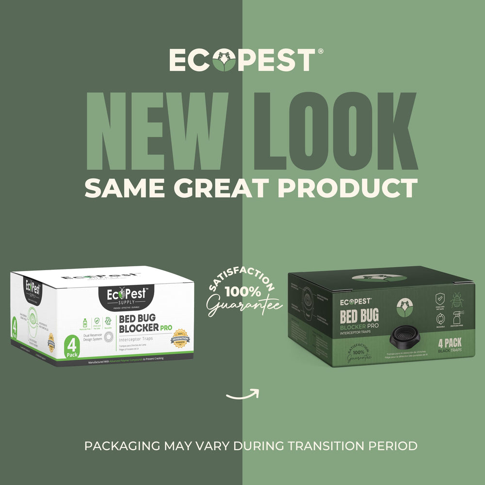 ECOPEST Bed Bug Interceptor trap in a home setting