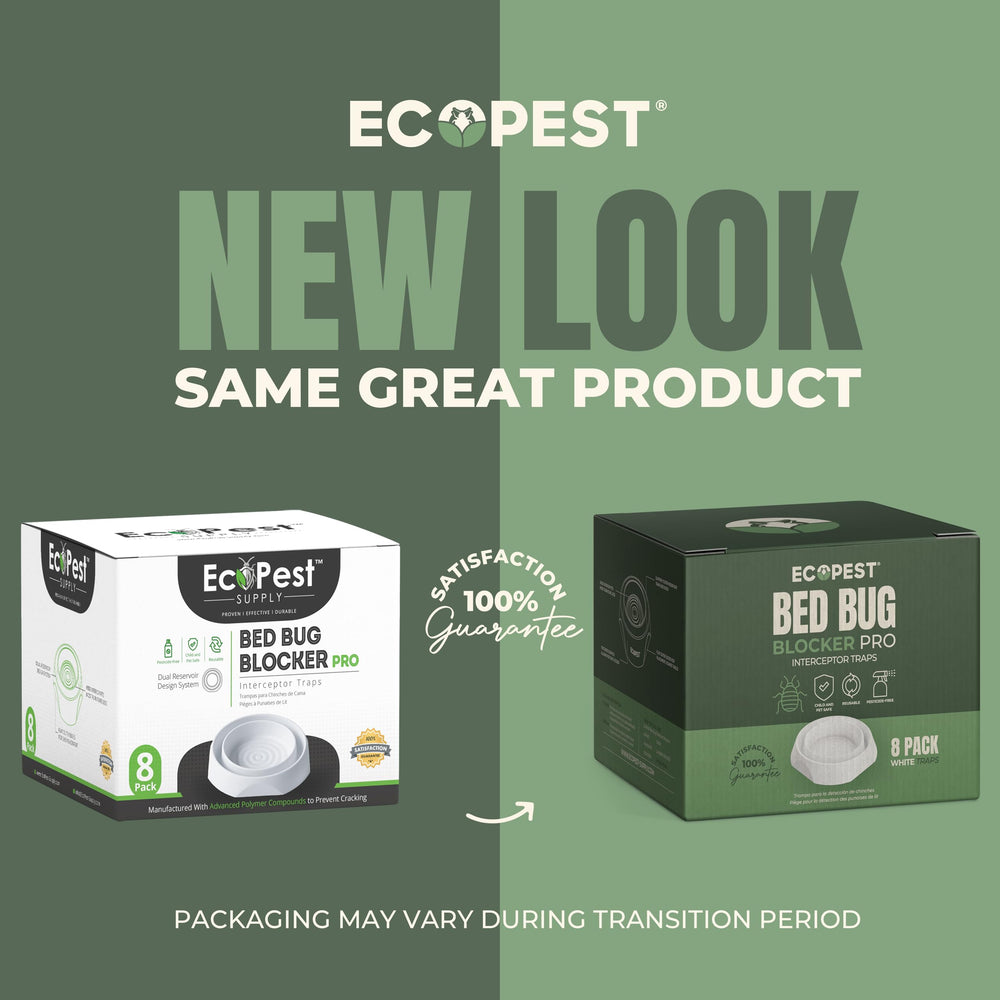 ECOPEST Bed Bug Interceptor trap in home setting