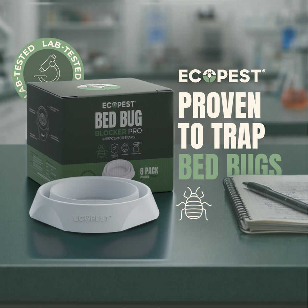 ECOPEST Bed Bug Interceptor trap in use under a bed post