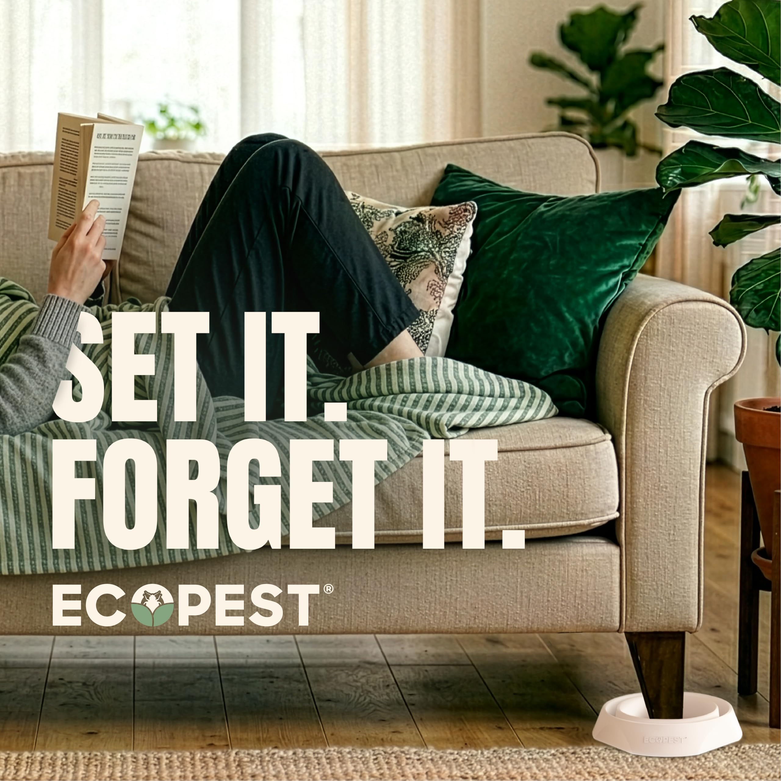 ECOPEST Bed Bug Interceptor trap packaging