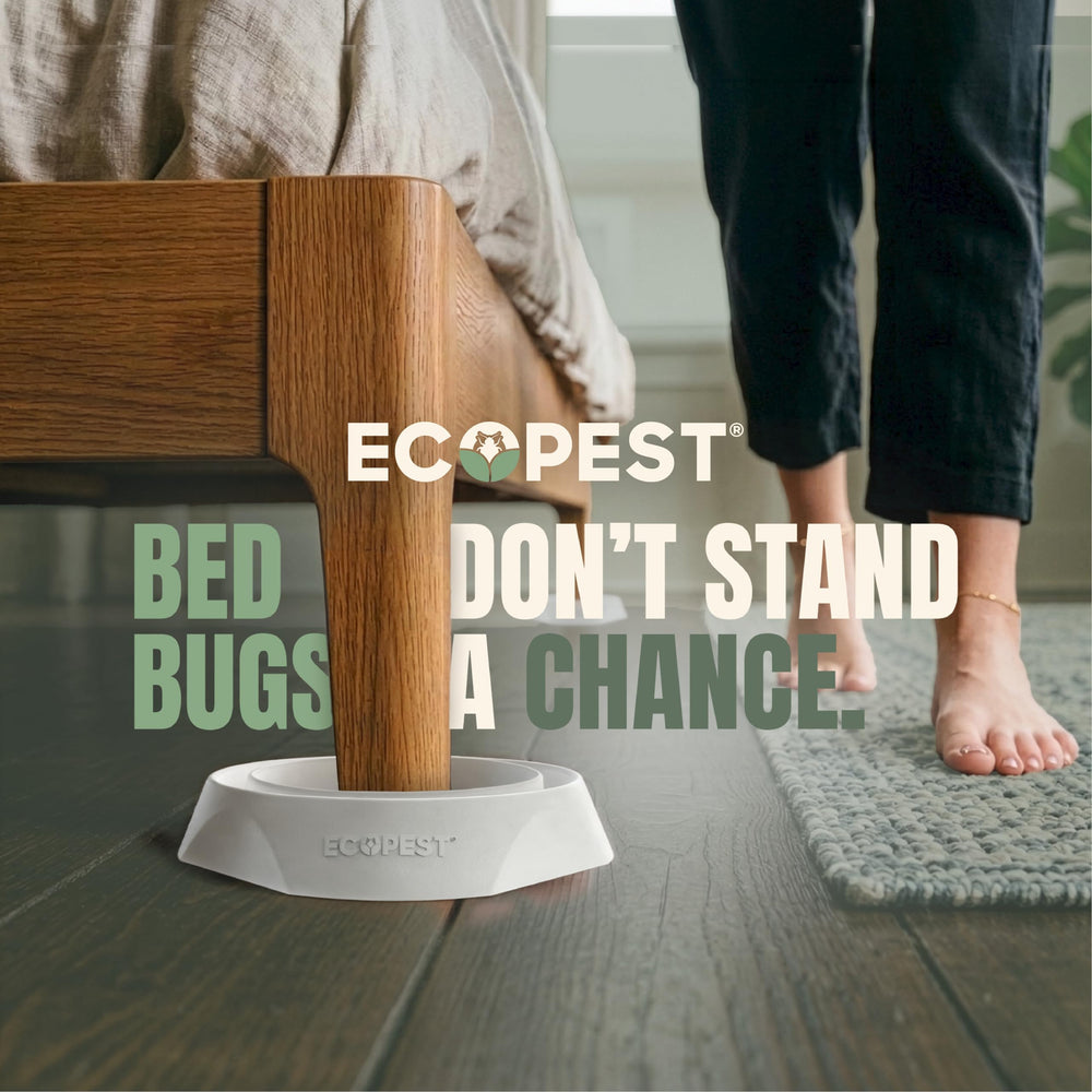 ECOPEST Bed Bug Interceptor trap side view with textured surface