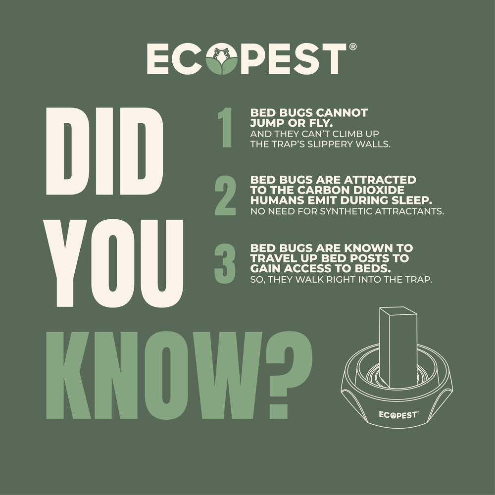 ECOPEST Bed Bug Interceptor traps displayed in a row