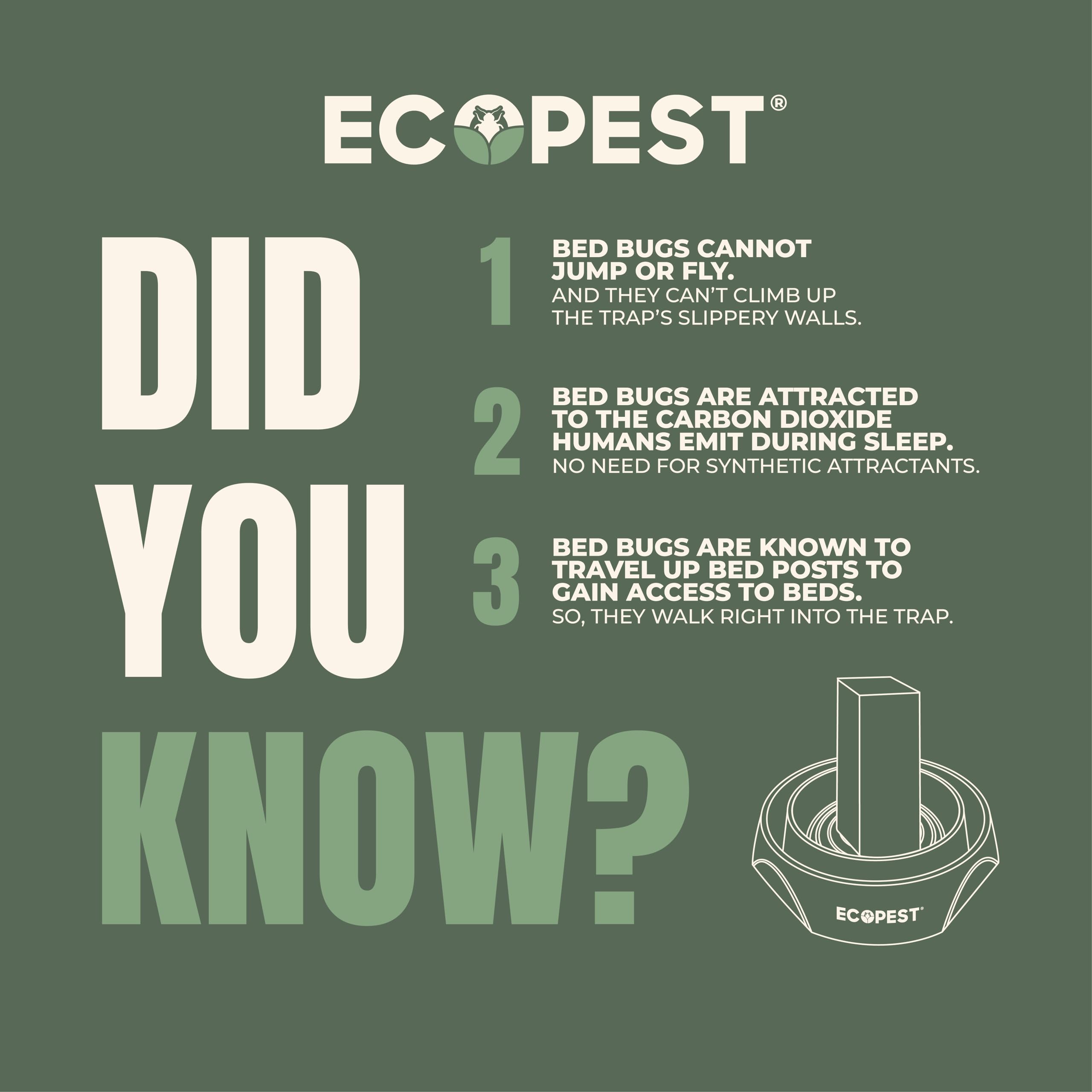 ECOPEST Bed Bug Interceptor traps on wooden floor