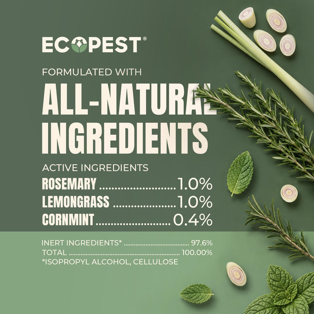 ECOPEST Bed Bug Vapor Pouch for furniture application