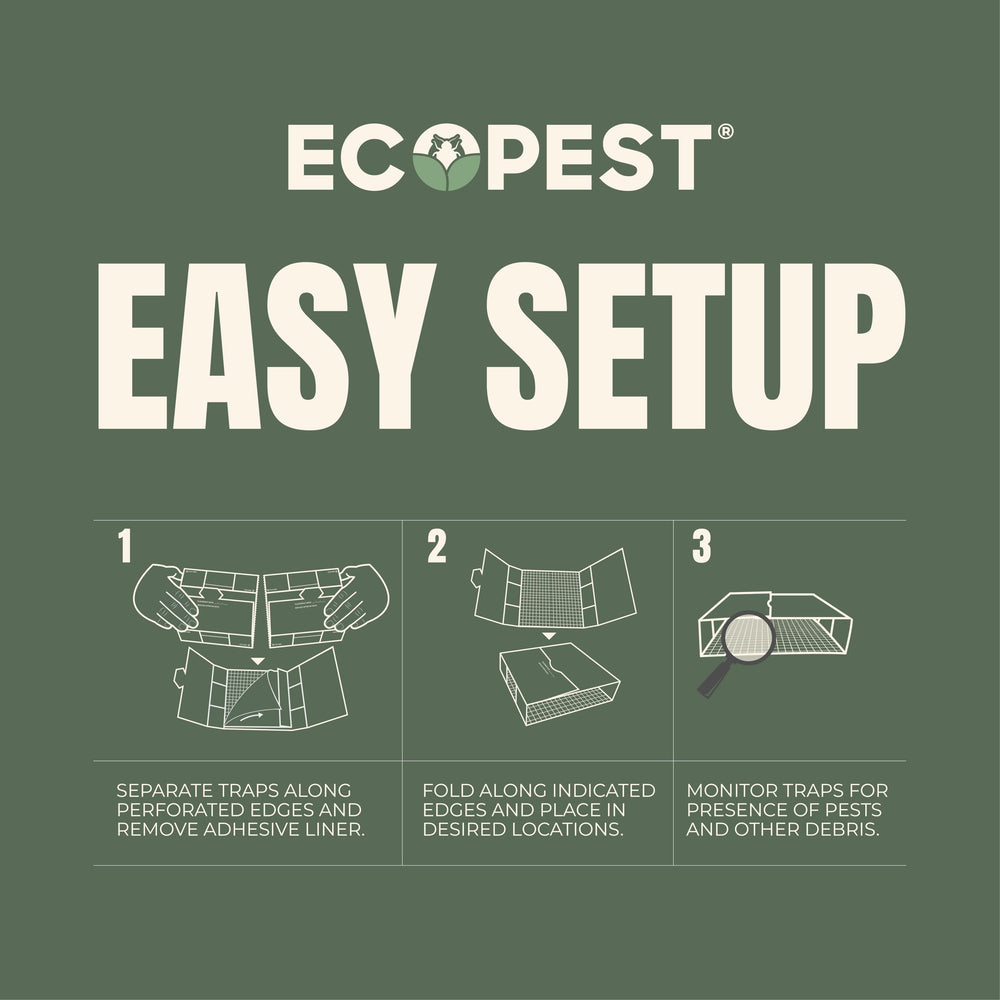 ECOPEST Silverfish Trap packaging front view