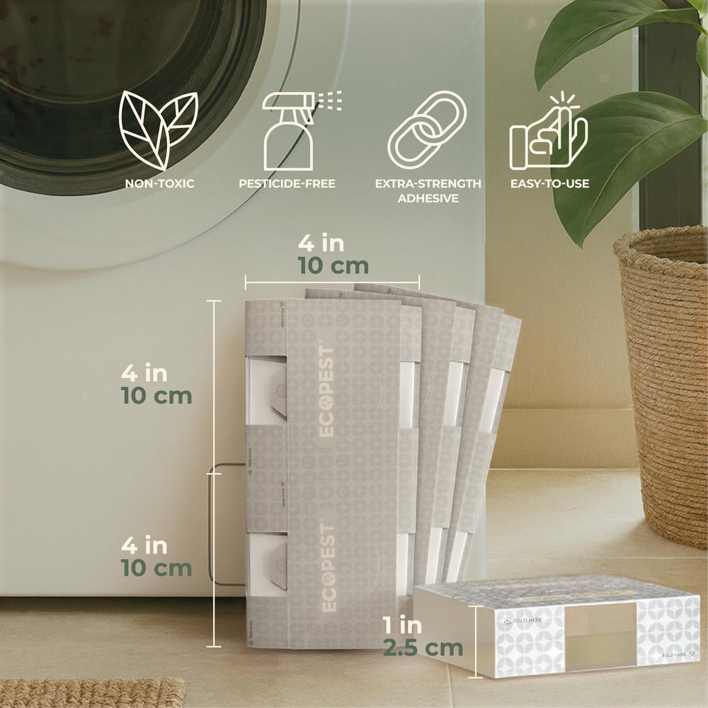 ECOPEST Silverfish Trap placed near baseboards