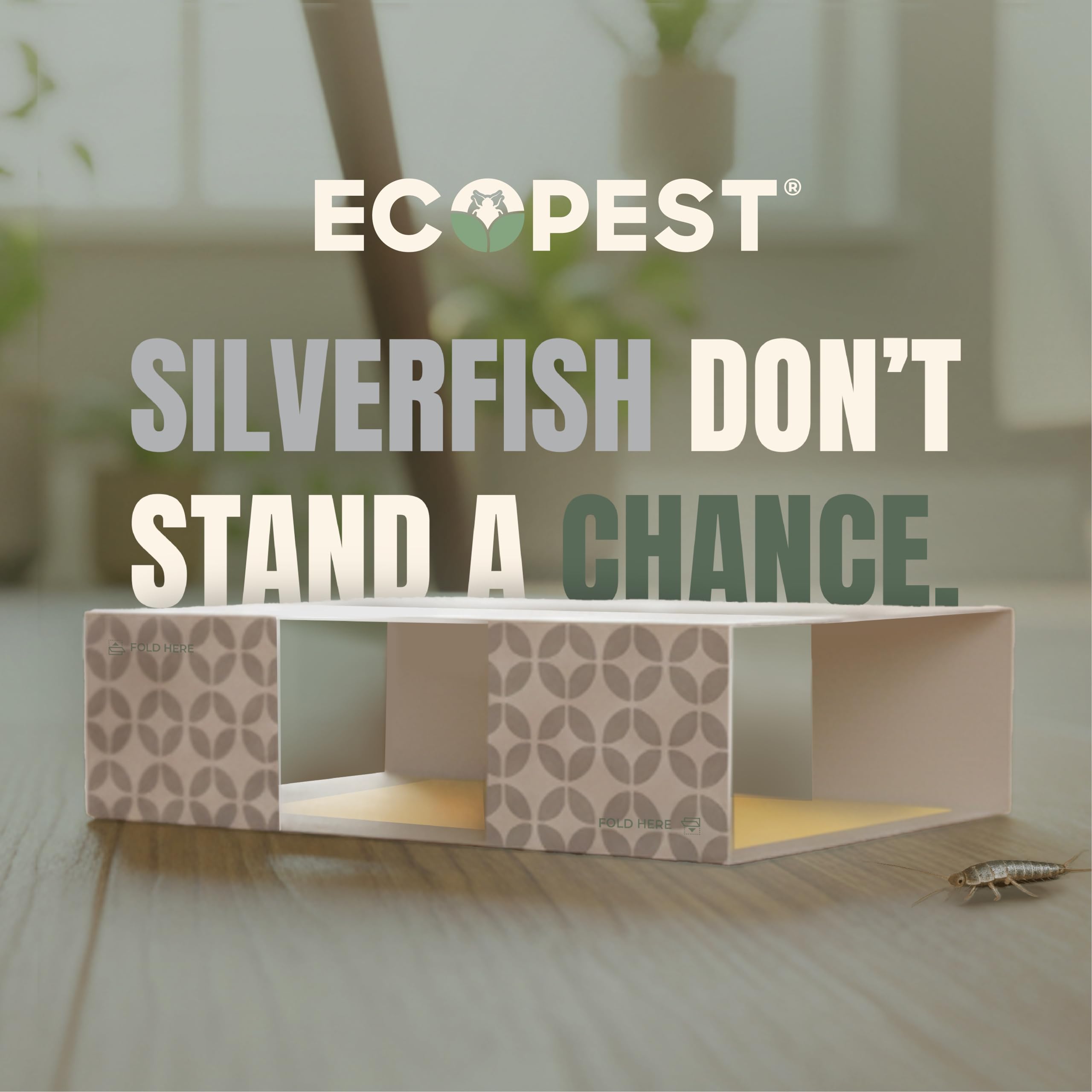 ECOPEST Silverfish Trap showing adhesive surface