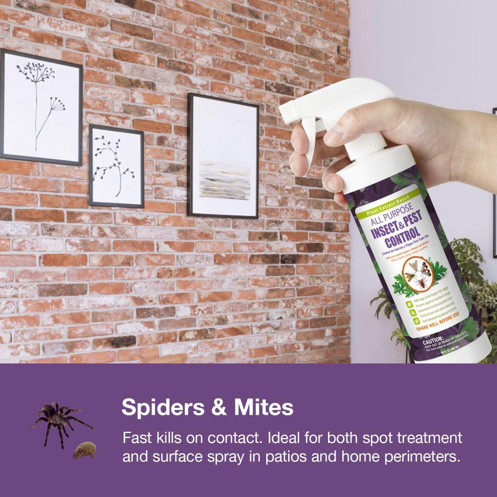 EcoVenger All Purpose Insect Control spray in a kitchen setting