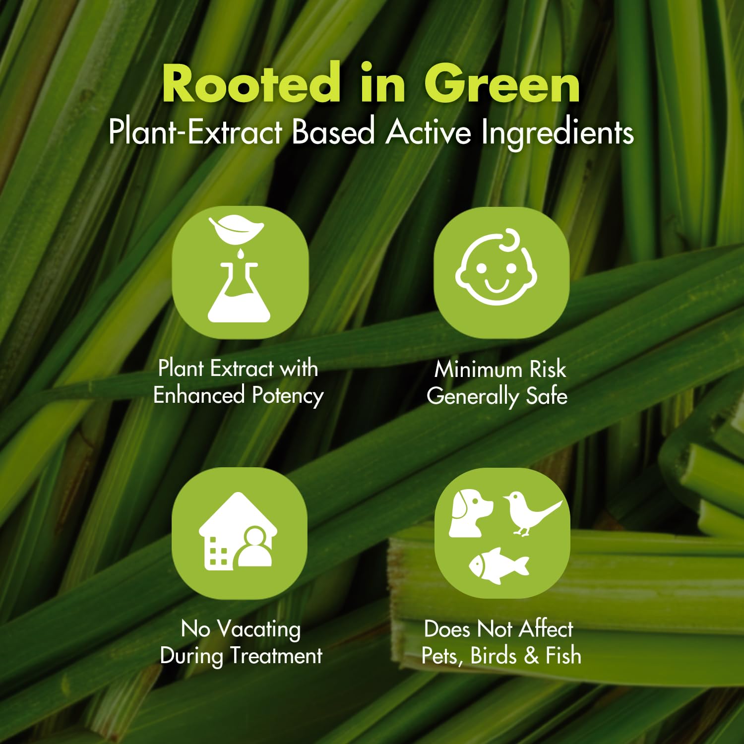 EcoVenger Ant Killer 64 Fl Oz with packaging and instructions