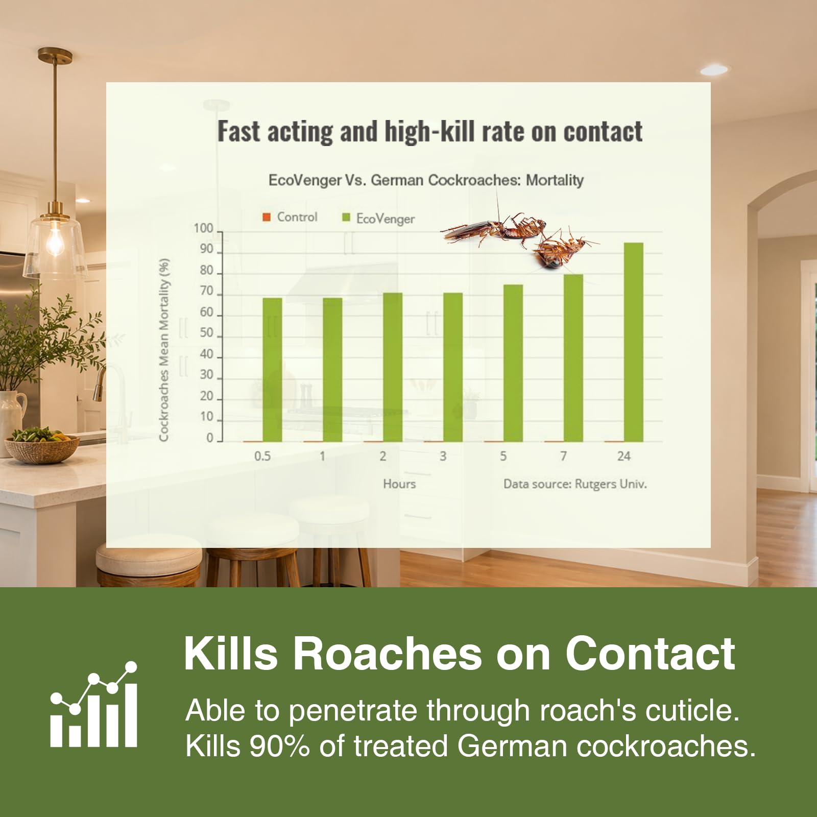 EcoVenger Roach and Ant Killer nozzle details
