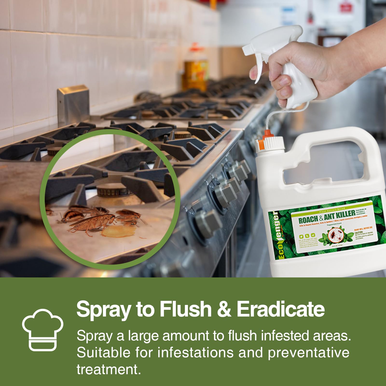 EcoVenger Roach and Ant Killer safety warning