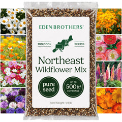 Eden Brothers Northeast Wildflower Mixed Seeds package front view
