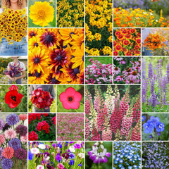Eden Brothers Pacific Northwest Wildflower Seeds package front view