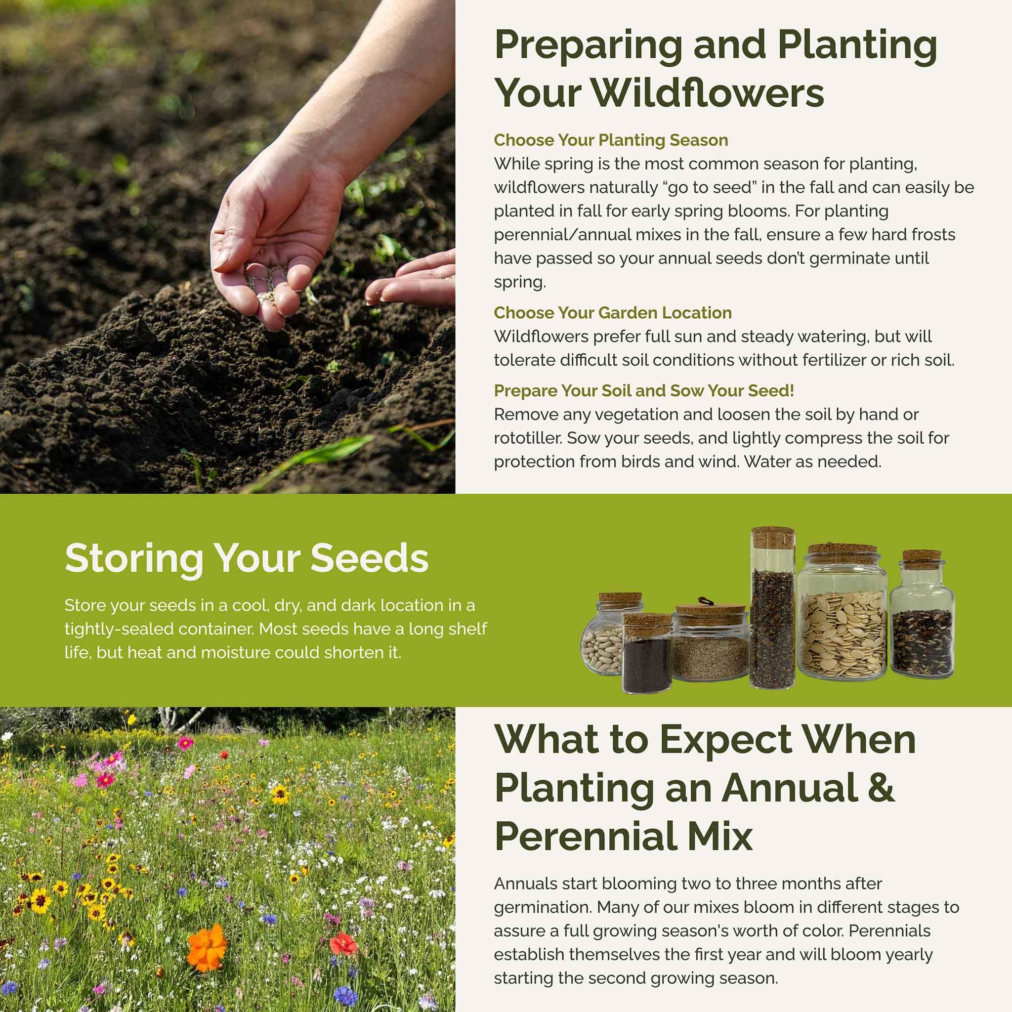 Eden Brothers seed packet with flower varieties list