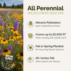 Eden Brothers Wildflower Seeds packaging with mixed flower images