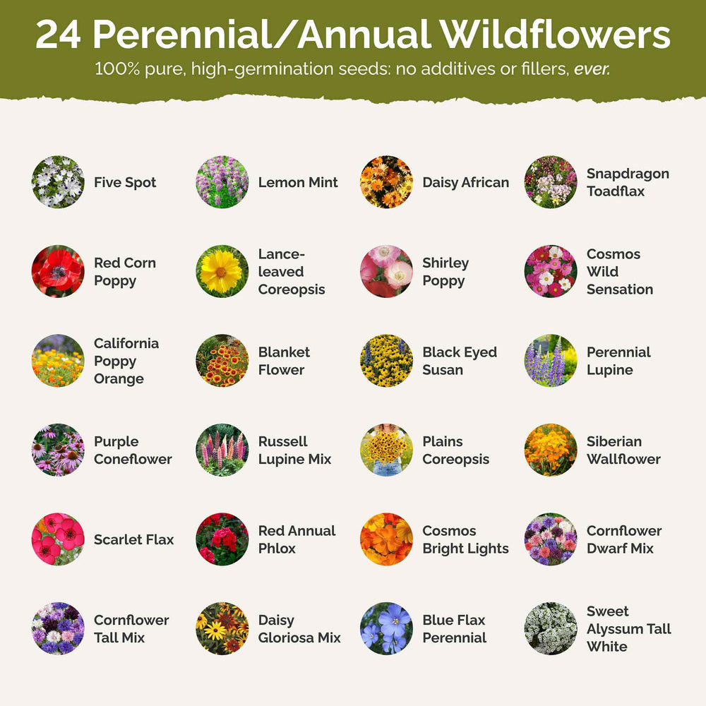 Eden Brothers wildflower seeds showing variety of flowers