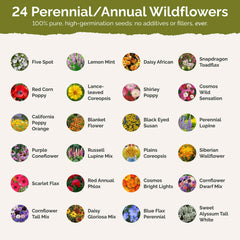 Eden Brothers wildflower seeds showing variety of flowers
