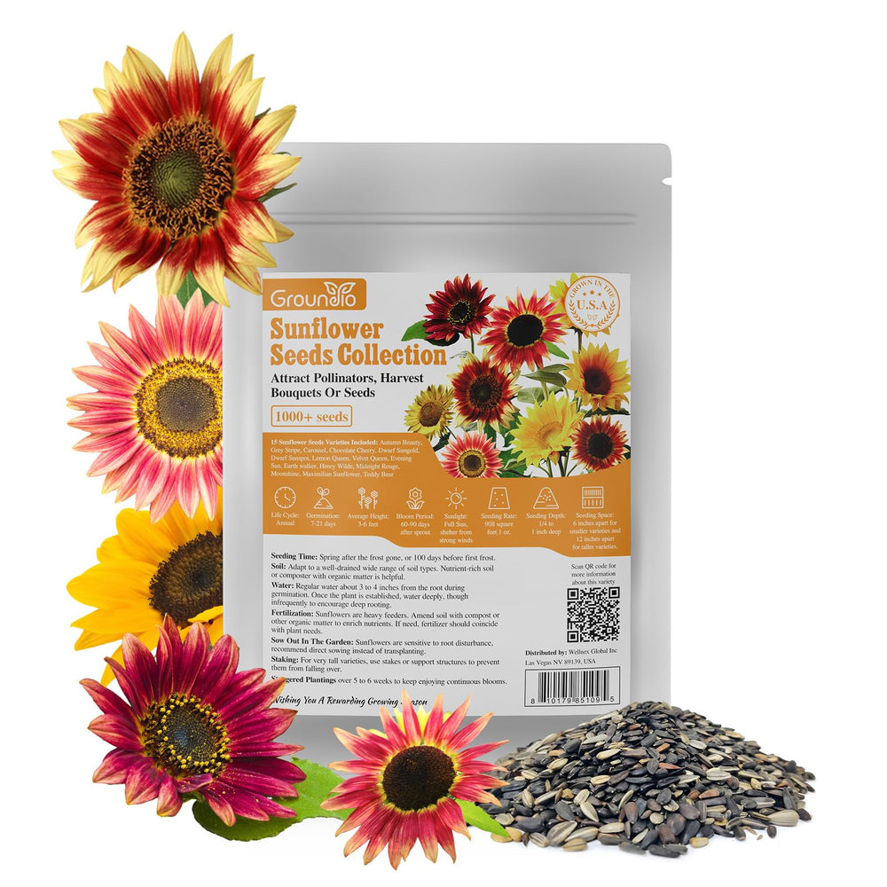 Edible sunflower seeds ready for roasting