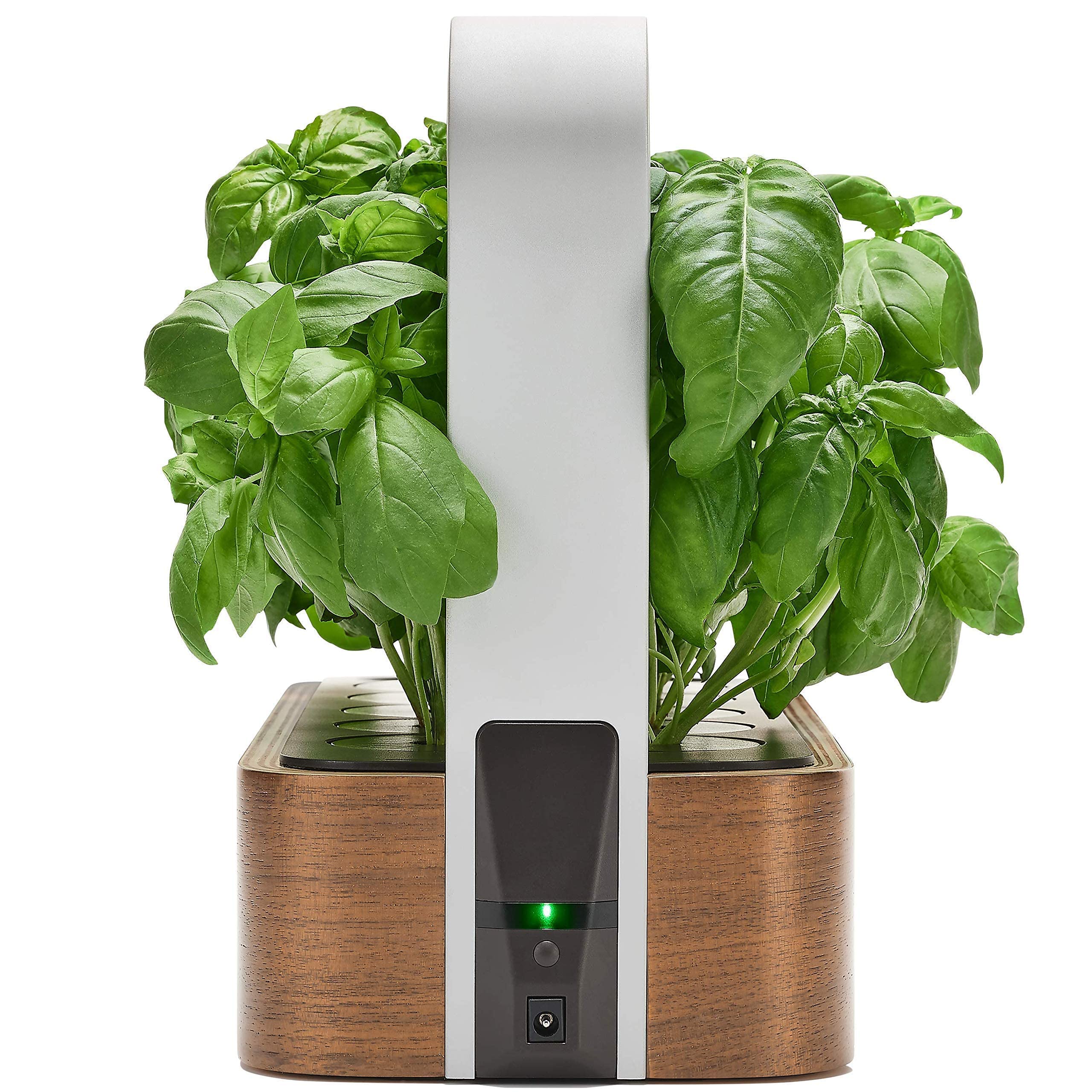 EDN Indoor Smart Garden dimensions and design details