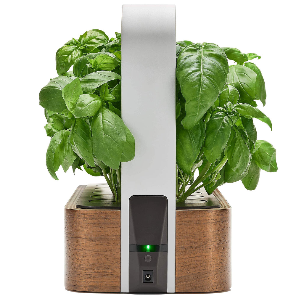 EDN Indoor Smart Garden dimensions and design details
