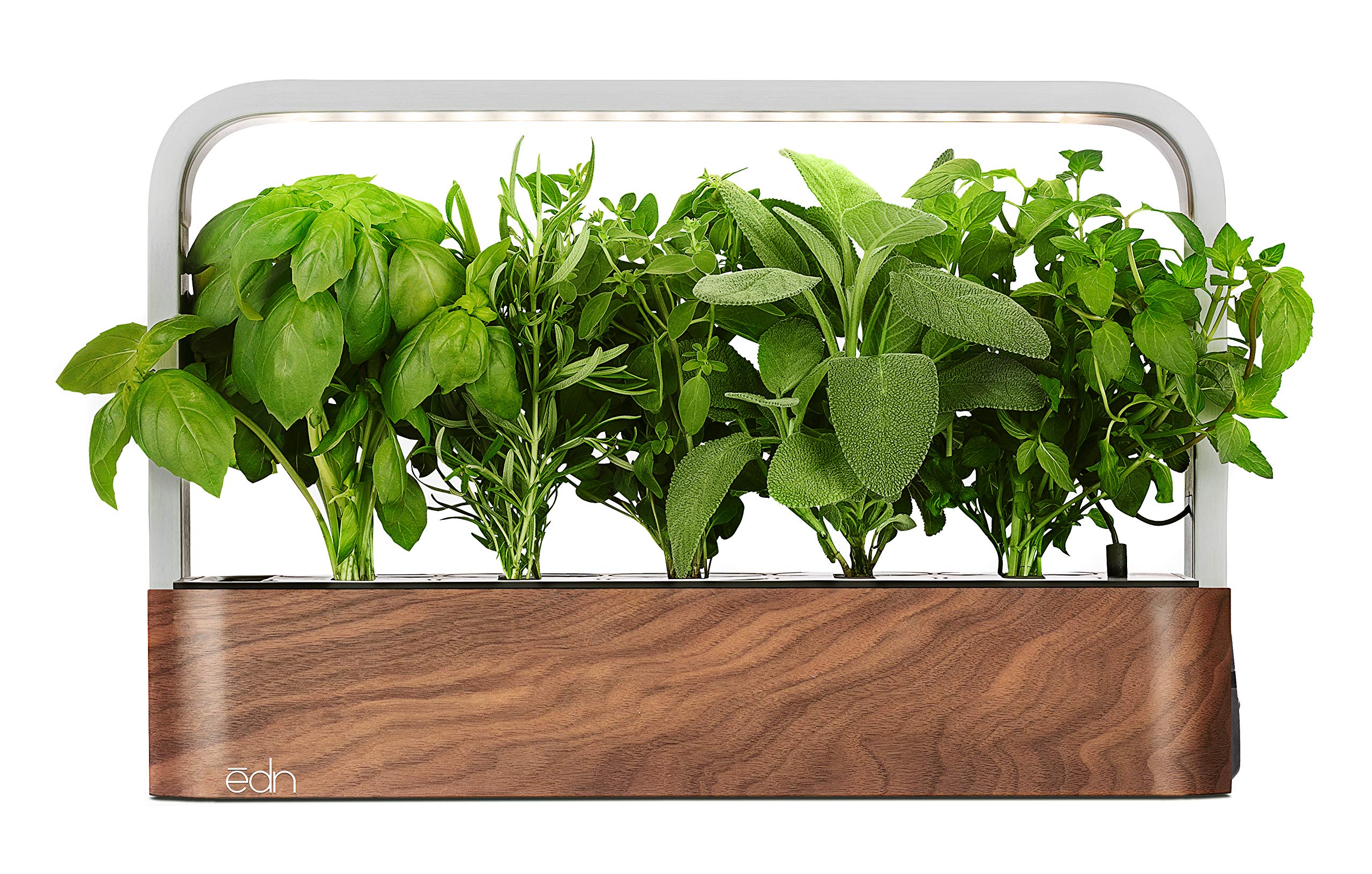 EDN Indoor Smart Garden front view with 10 Basil SeedPods