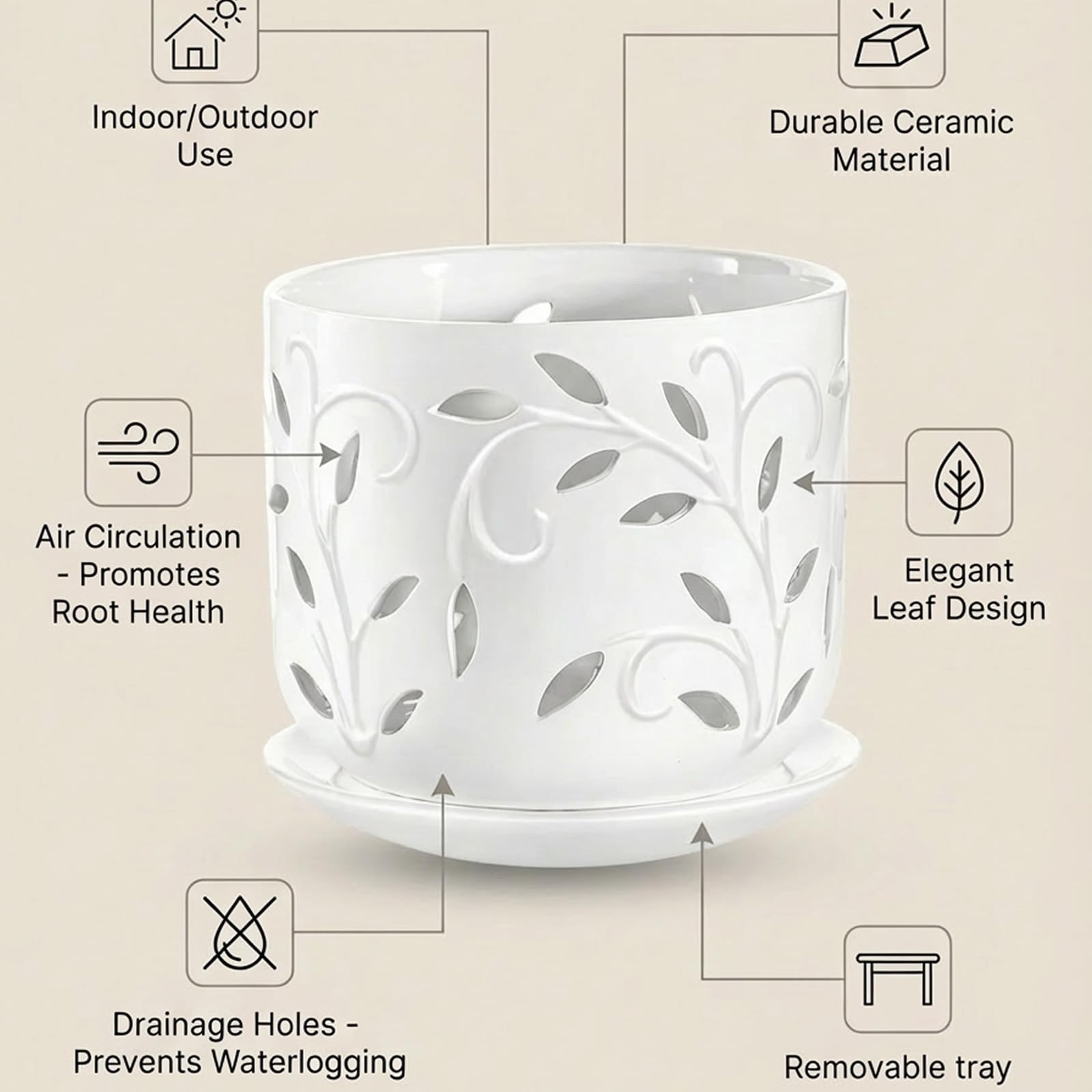EFISPSS ceramic orchid pot displaying healthy orchids
