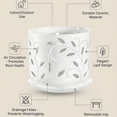 EFISPSS ceramic orchid pot displaying healthy orchids