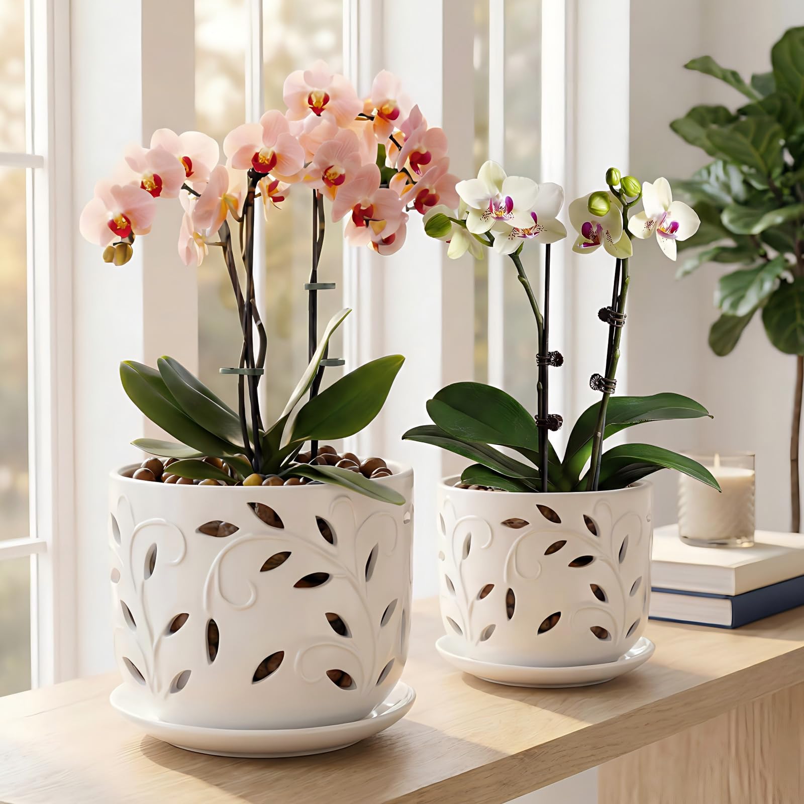 EFISPSS ceramic orchid pot outdoors on patio