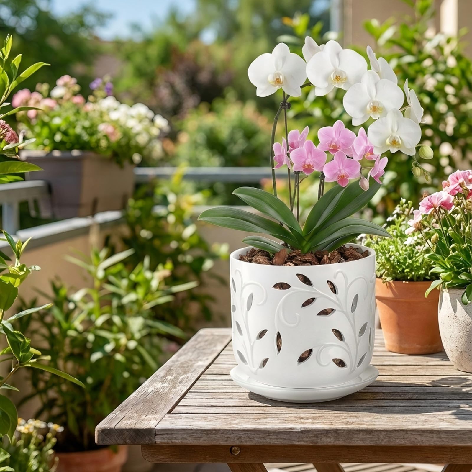 EFISPSS ceramic orchid pot with blooming orchids