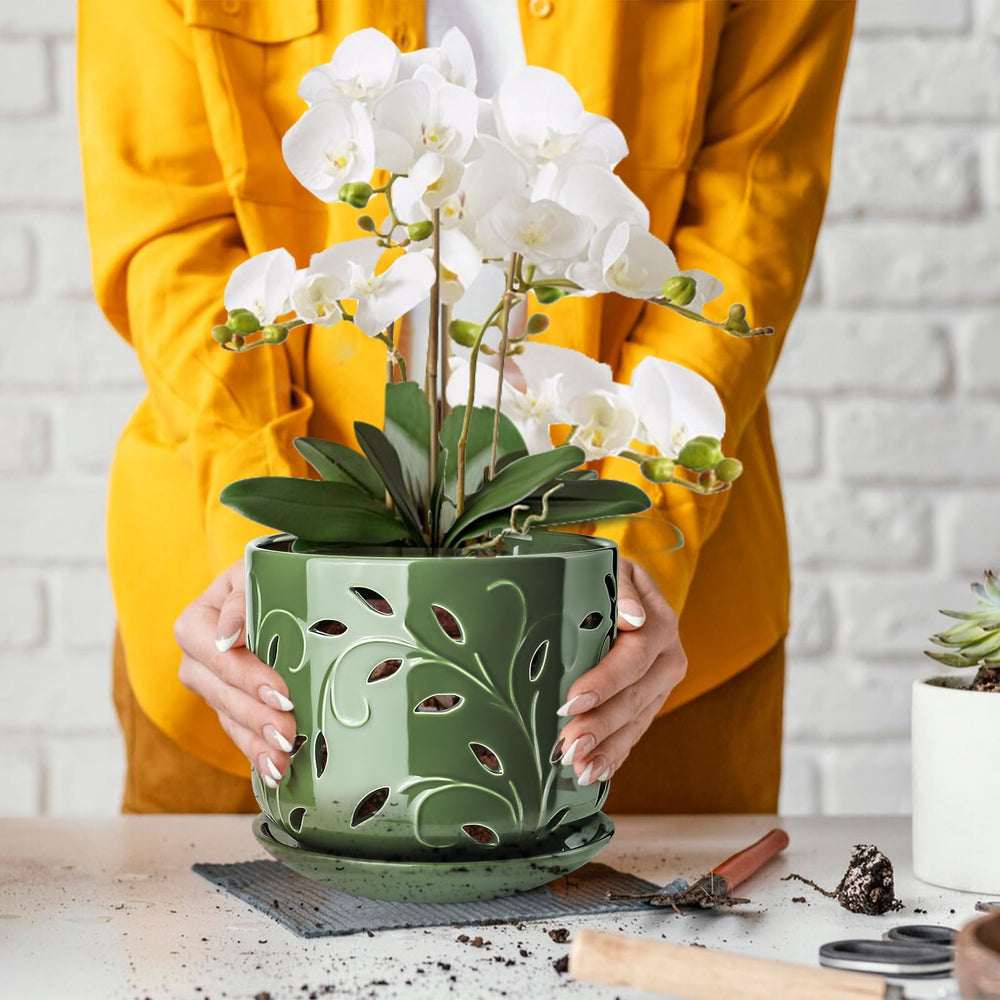 EFISPSS Orchid Pot displayed on a decorative table