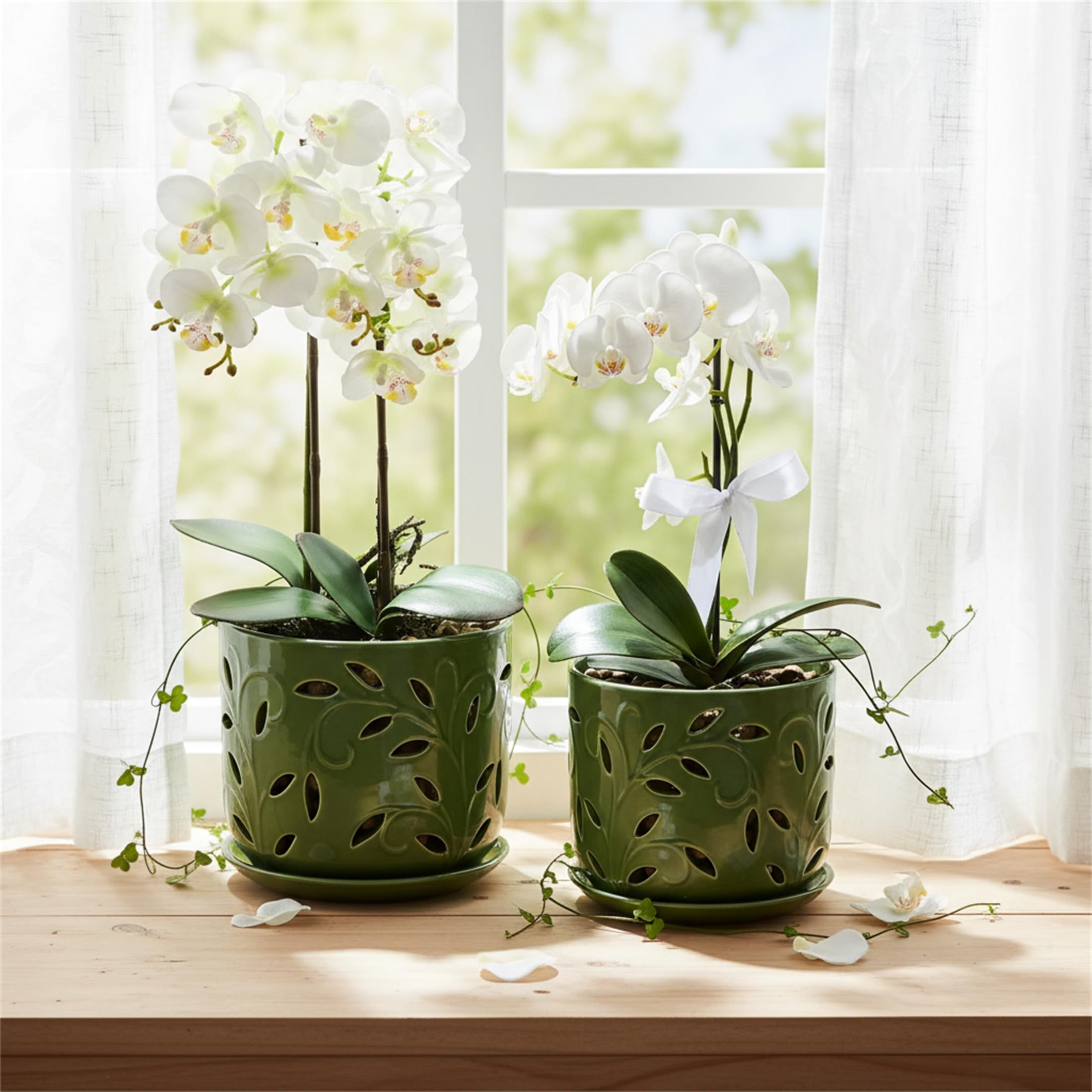 EFISPSS Orchid Pot set packaged beautifully for gifting