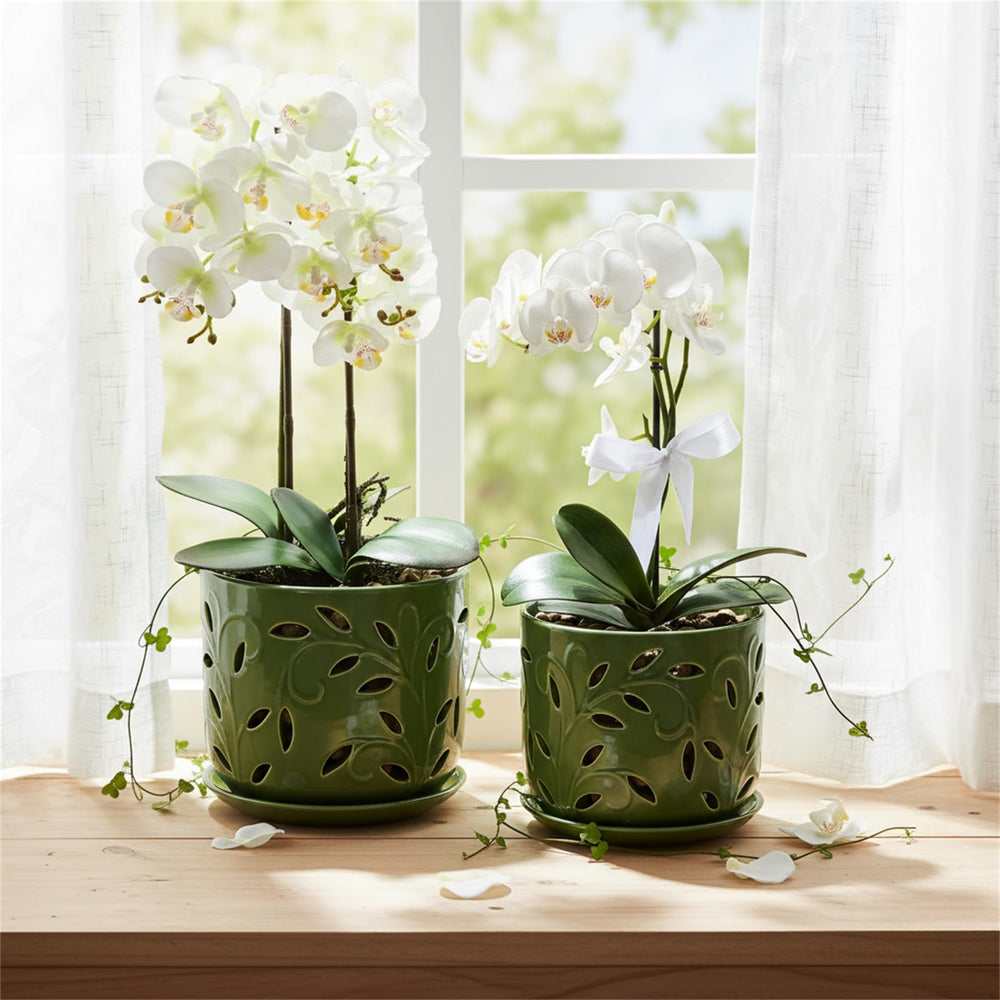 EFISPSS Orchid Pot set packaged beautifully for gifting