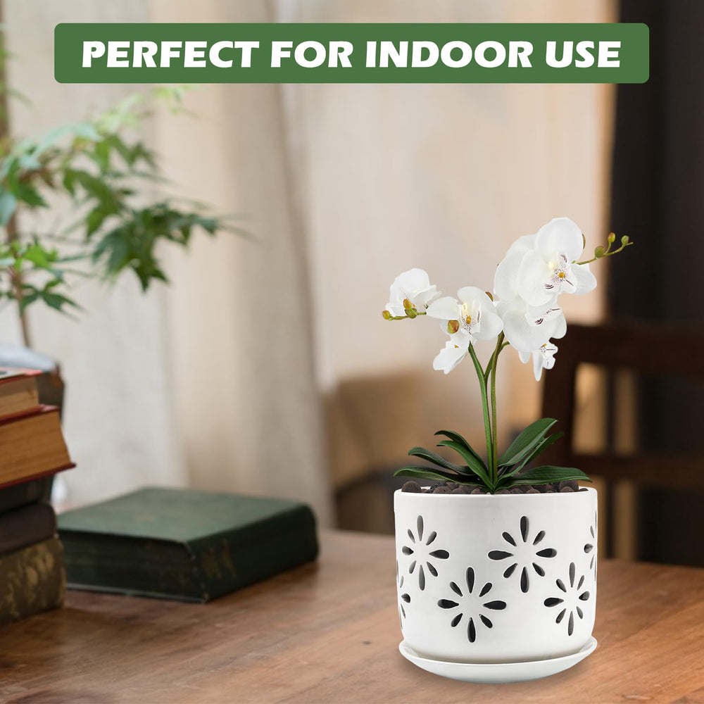 EFISPSS orchid pot showcasing drainage holes
