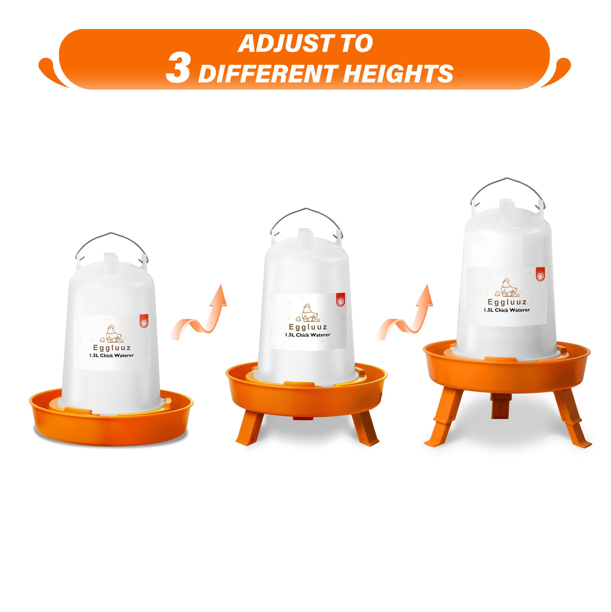 Eggluuz 1KG Feeder showing anti-tip base
