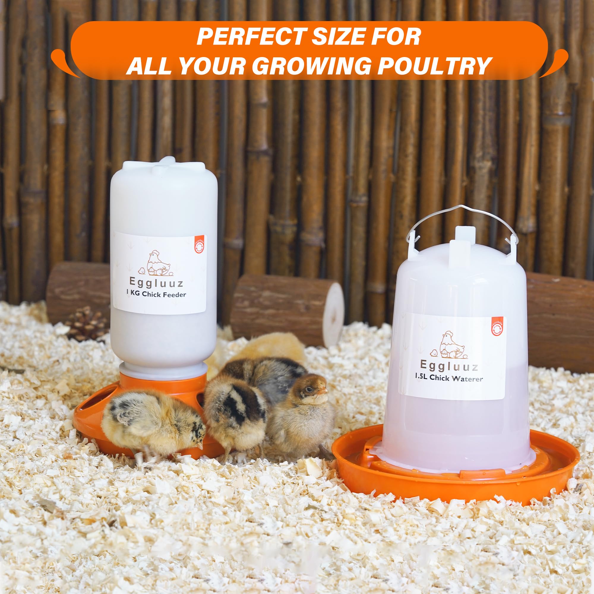 Eggluuz Chick Feeder and Waterer Kit packaging