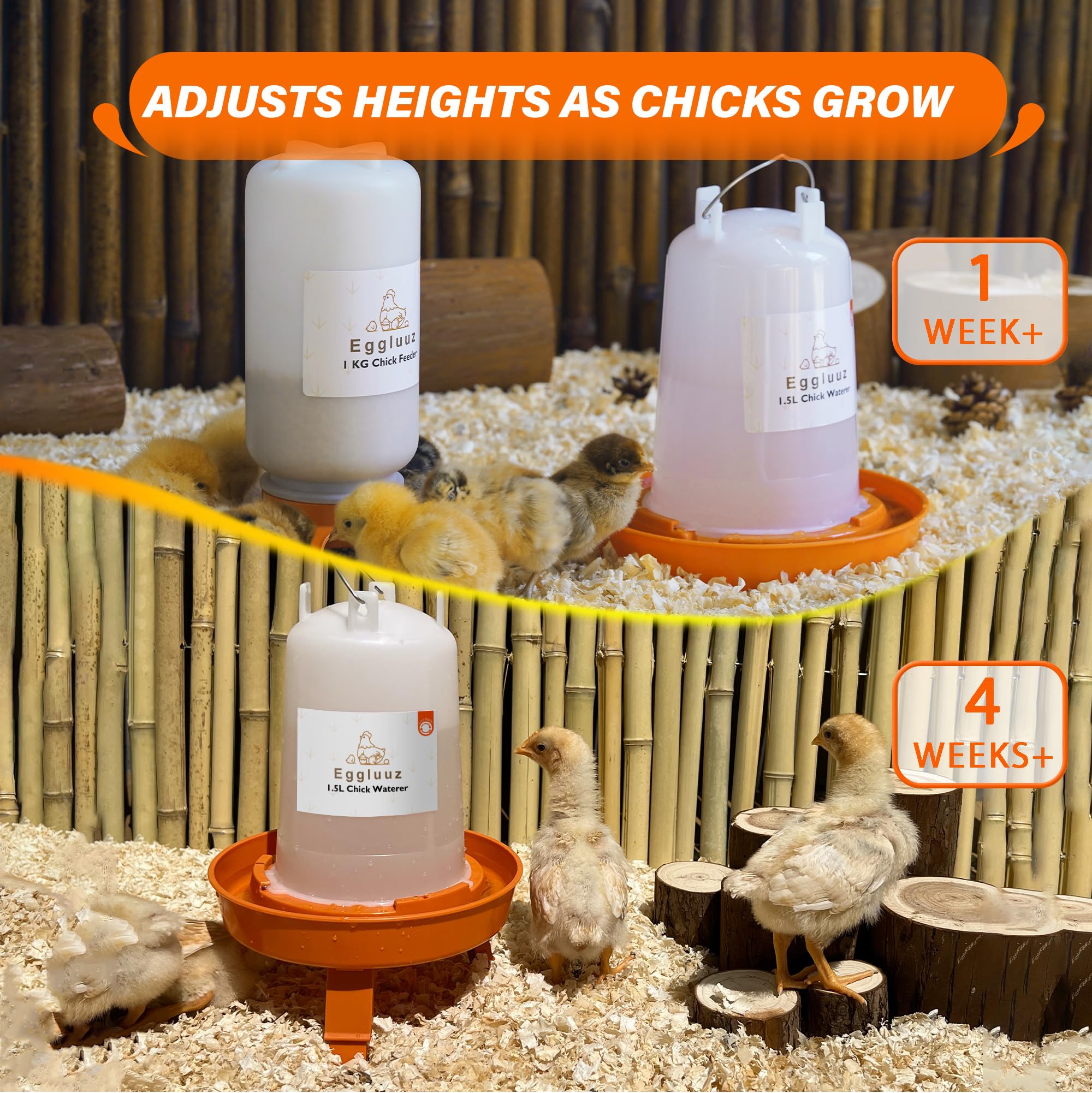 Eggluuz Chick Feeder demonstrating no waste feeding holes