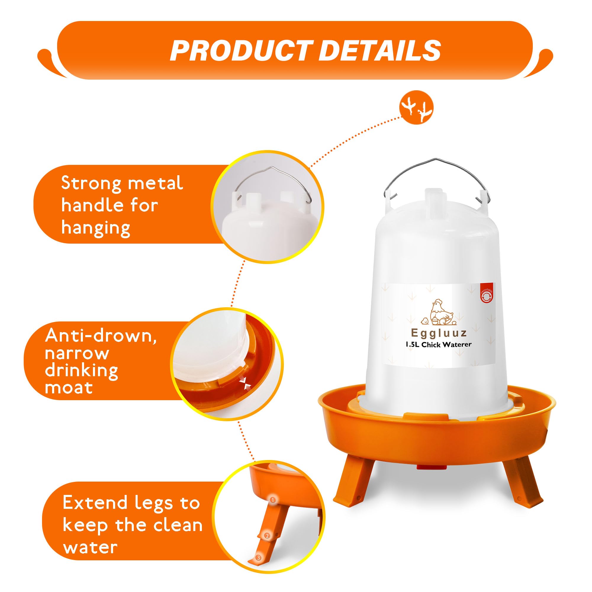 Eggluuz Chick Kit in a chicken coop setup