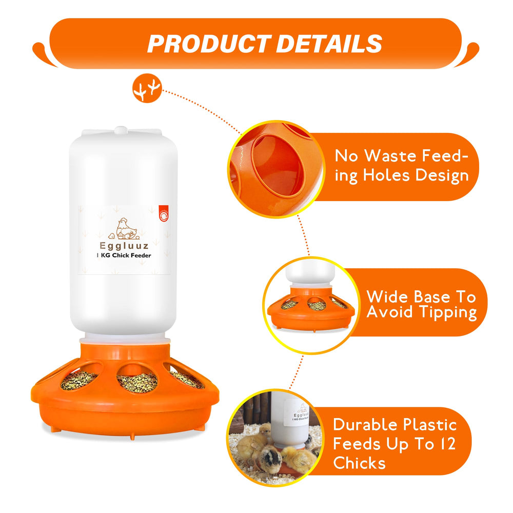 Eggluuz Chick Waterer with clear visibility of water level
