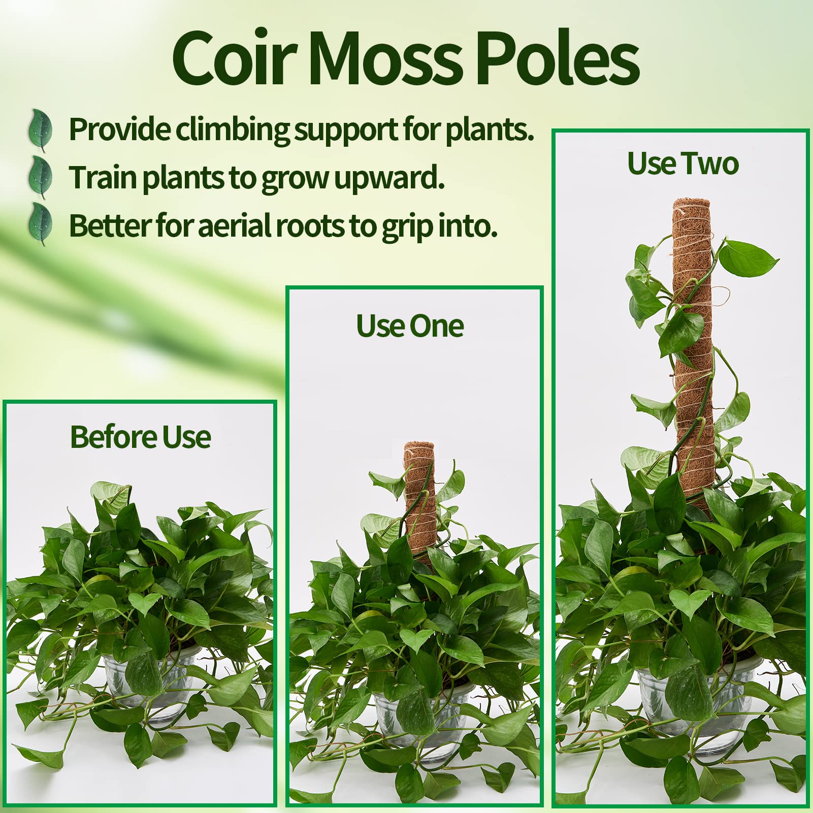 Eibikdi moss pole 17 inches with jute rope showing support