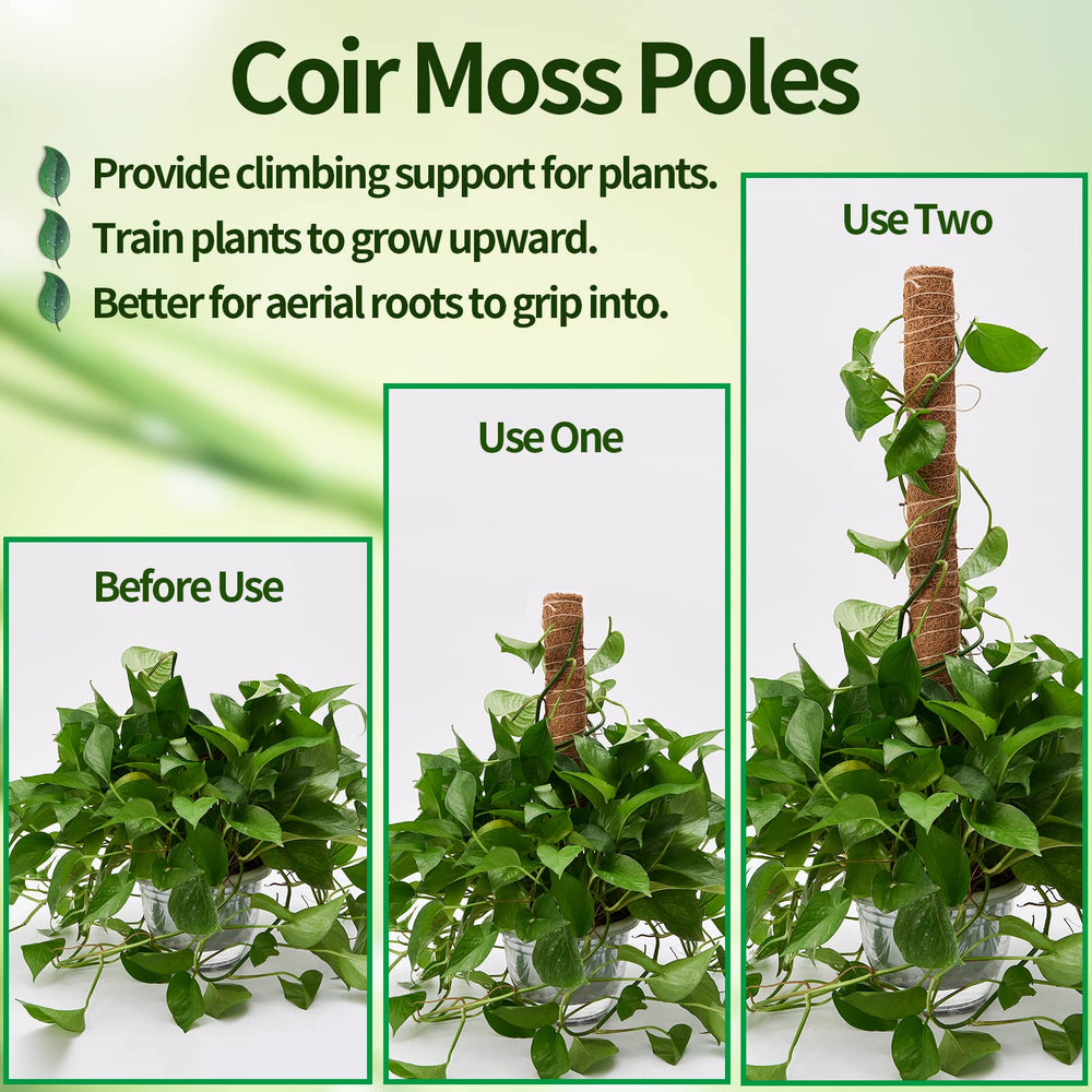 Eibikdi moss pole 17 inches with jute rope showing support