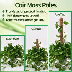 Eibikdi moss pole 17 inches with jute rope showing support