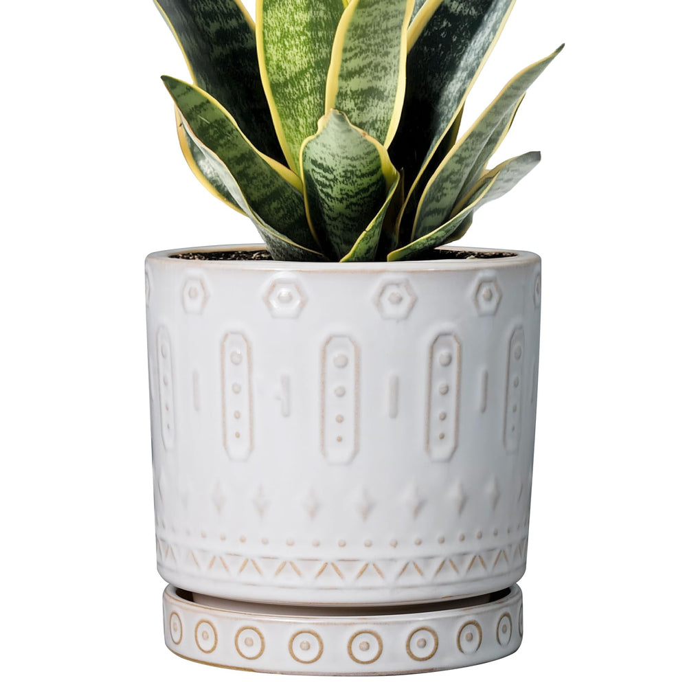Eightpot 6 Inch Ceramic Planter White with Saucer
