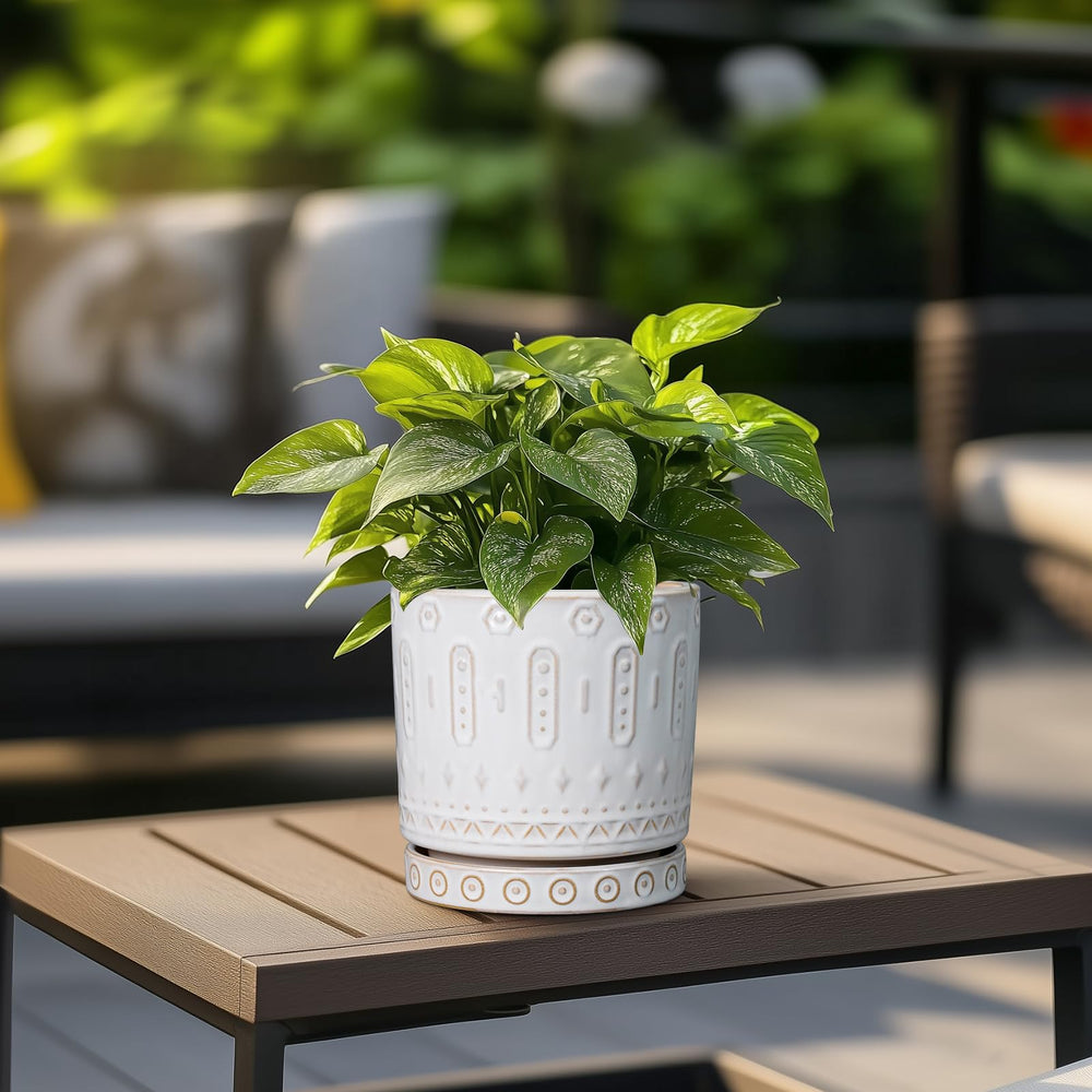 Eightpot 6 Inch Planter on Office Desk