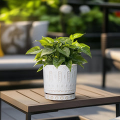 Eightpot 6 Inch Planter on Office Desk