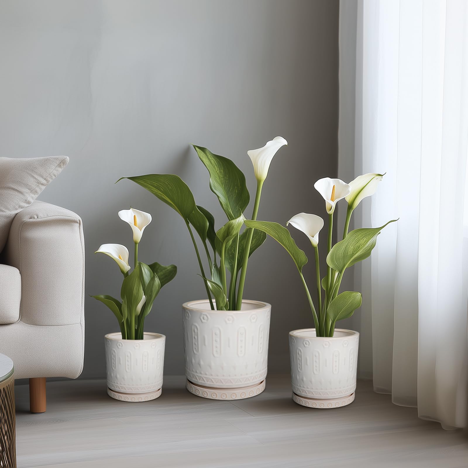 Eightpot 6 Inch Planter with Various Indoor Plants
