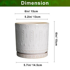 Eightpot Ceramic Planter with Succulent Inside