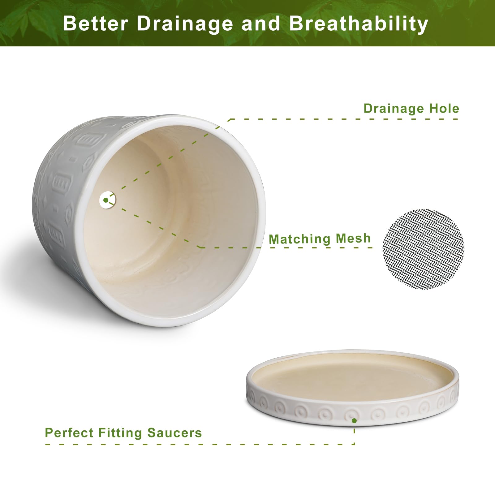 Eightpot Planter with Removable Saucer