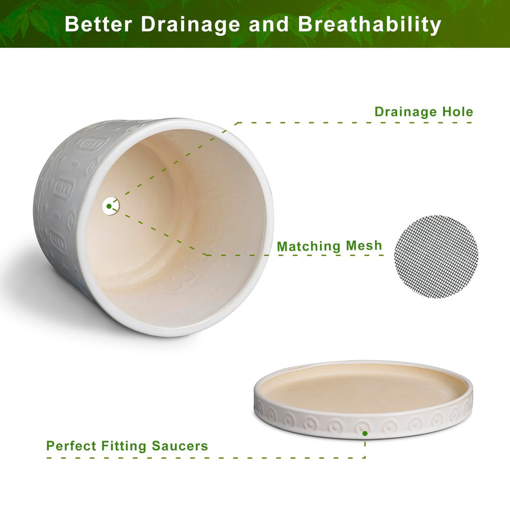 Eightpot Planter with Removable Saucer